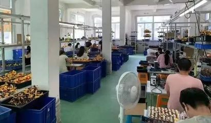 上海查获小黄人等百余款侵权玩具产品 涉案逾2亿元