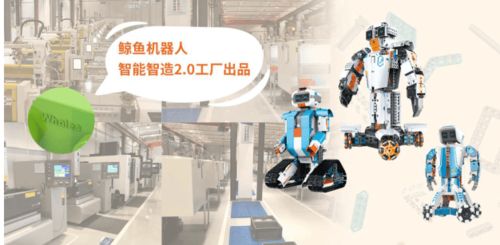 鲸鱼机器人完成5000万pre b融资,成为青少年ai教育领域准独角兽